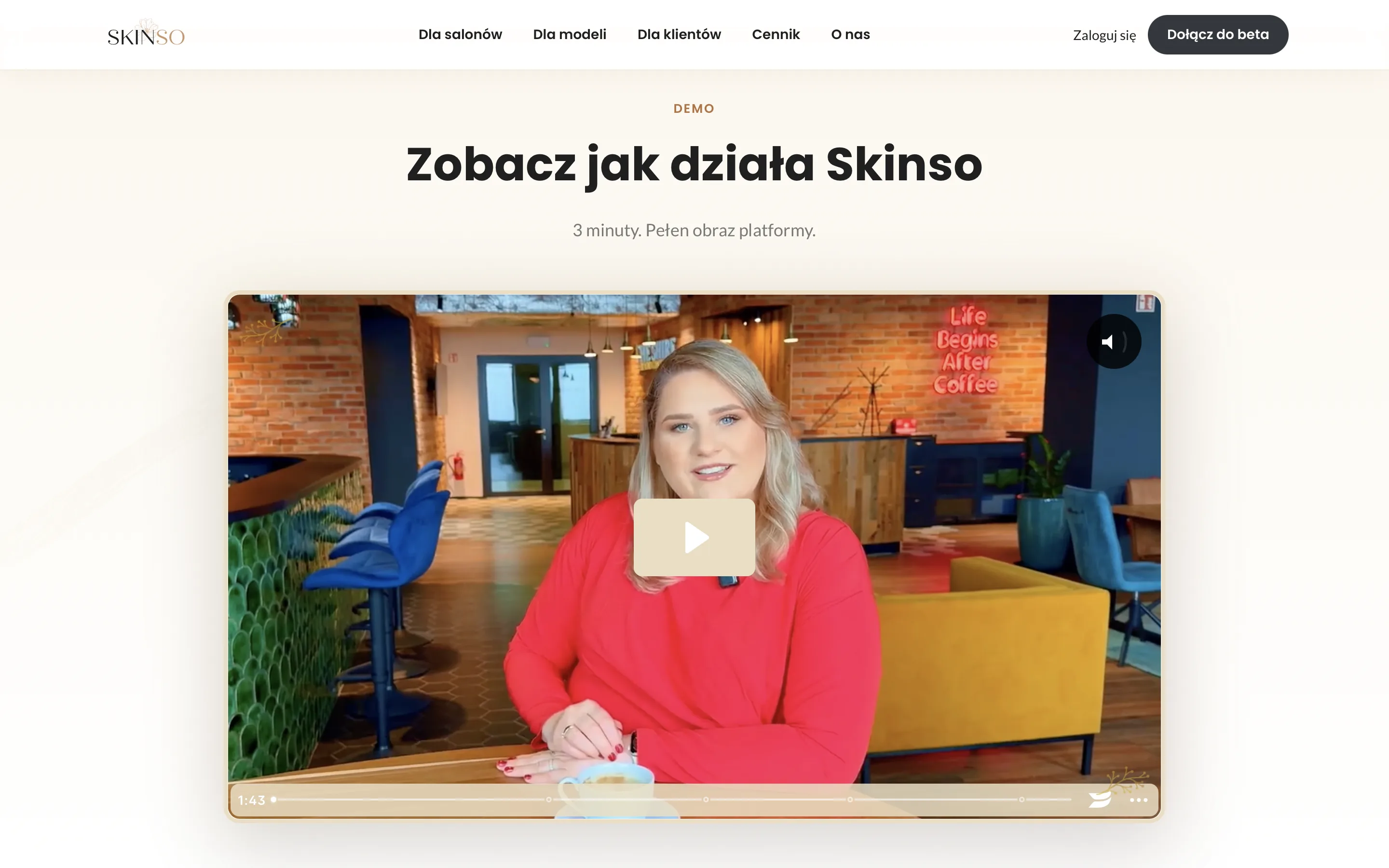 Skinso - strona główna z panelem